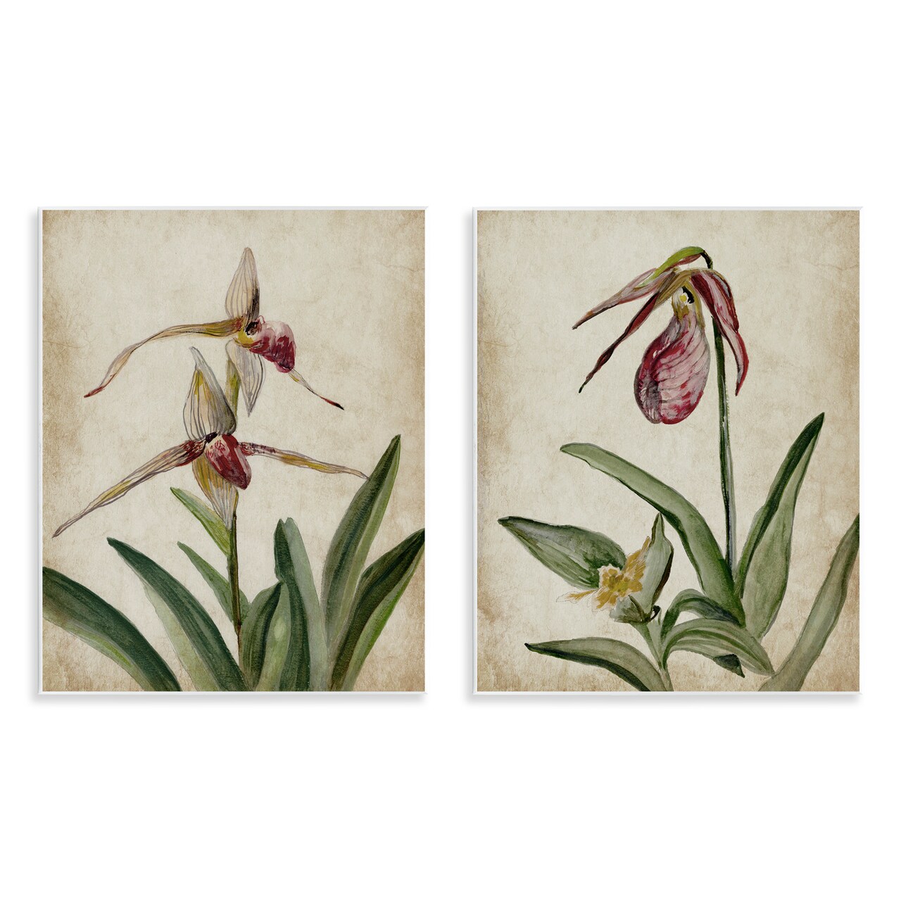 Stupell Industries Vintage Blooming Birds of Paradise 2pc Wall Plaque Set By Jacob Q